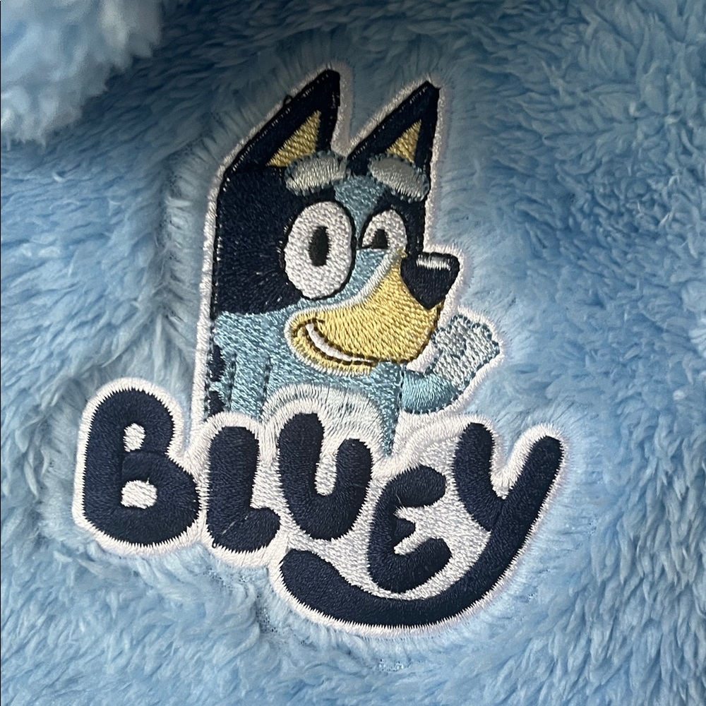 KIDS 🧒 Bluey Kids Fleece Hoodie - Light Blue - Picture 4 of 7